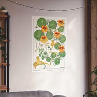 450864051791654947_2048.jpeg Capucine (nasturtium), plate 40 from La Plante et ses Applications ornementales - Maurice Pillard Verneuil (1896) - Botanical Poster Print