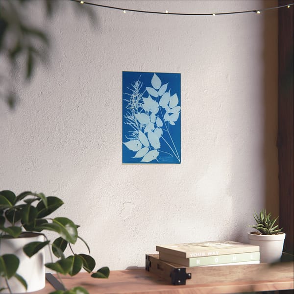 13453079211030996649_2048.jpeg Spiraea aruncus (Tyrol) Cyanotype – Anna Atkins (c. 1851-54) – Botanical Poster Print