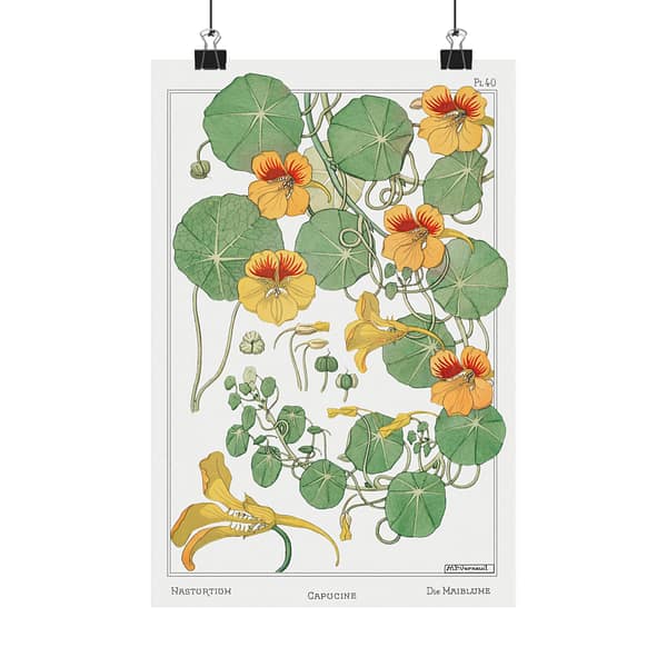 17679748972291552992_2048.jpeg Capucine (nasturtium), plate 40 from La Plante et ses Applications ornementales - Maurice Pillard Verneuil (1896) - Botanical Poster Print