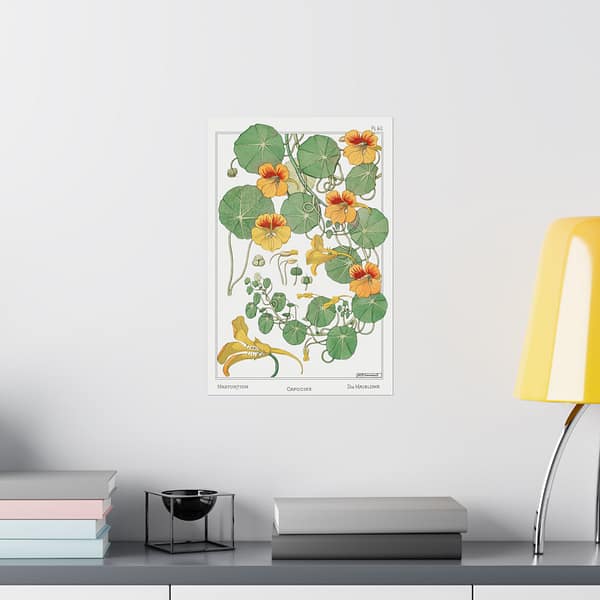 3558485950035438404_2048.jpeg Capucine (nasturtium), plate 40 from La Plante et ses Applications ornementales - Maurice Pillard Verneuil (1896) - Botanical Poster Print
