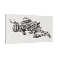 3287000054250167201_2048.jpeg A Human Skeleton - James Ward (c. 1800) - Vintage Art Canvas Print
