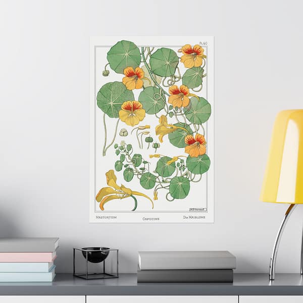 2000341096114267063_2048.jpeg Capucine (nasturtium), plate 40 from La Plante et ses Applications ornementales - Maurice Pillard Verneuil (1896) - Botanical Poster Print