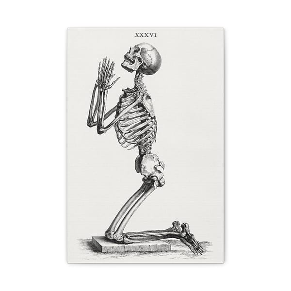 15423148070202683389_2048.jpeg Human Skeleton Kneeling in Prayer - William Cheselden (1733) - Vintage Art Canvas Print