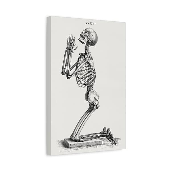 9930057458231245414_2048.jpeg Human Skeleton Kneeling in Prayer - William Cheselden (1733) - Vintage Art Canvas Print