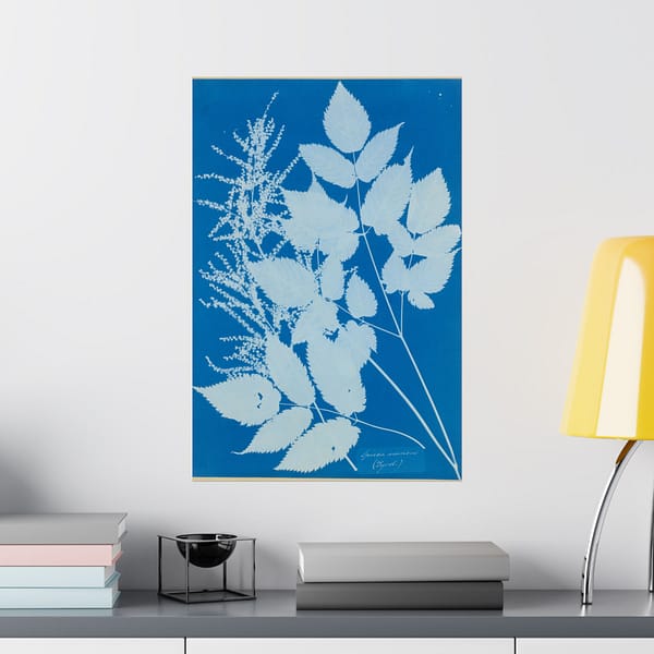 9111808310764880133_2048.jpeg Spiraea aruncus (Tyrol) Cyanotype – Anna Atkins (c. 1851-54) – Botanical Poster Print