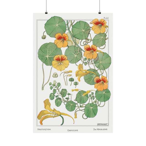 1640466171793824033_2048.jpeg Capucine (nasturtium), plate 40 from La Plante et ses Applications ornementales - Maurice Pillard Verneuil (1896) - Botanical Poster Print