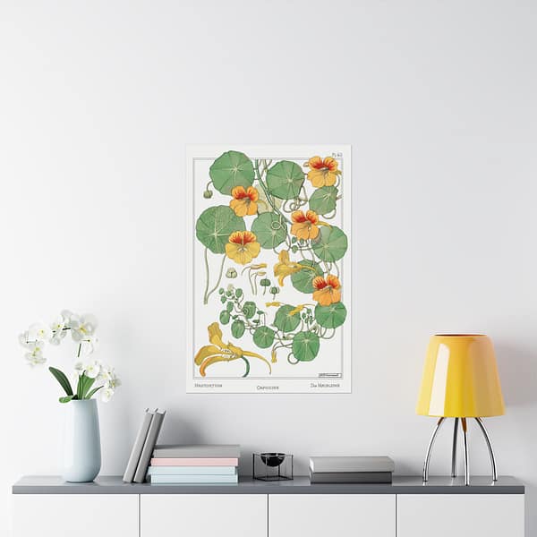 8446992450561661799_2048.jpeg Capucine (nasturtium), plate 40 from La Plante et ses Applications ornementales - Maurice Pillard Verneuil (1896) - Botanical Poster Print