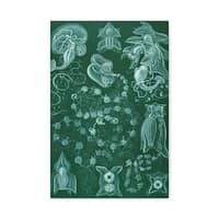 10248307894613214674_2048-1.jpeg Siphonophorae, Kunstformen der Natur, plate 77 – Ernst Haeckel (1904) – Natural History Canvas Print