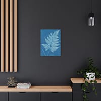 11101741861093291718_2048-1.jpeg New Zealand Cyanotype – Anna Atkins (c. 1853-54) – Botanical Canvas Print