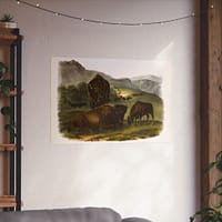 11691097837697125027_2048-1.jpeg Bos Americanus, American Bison or Buffalo, plate 57 – John James Audubon (1845) – Natural History Poster Print