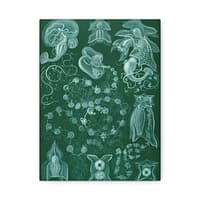 13891209412593661337_2048-1.jpeg Siphonophorae, Kunstformen der Natur, plate 77 – Ernst Haeckel (1904) – Natural History Canvas Print