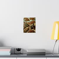 16256945170431632499_2048-1.jpeg Sea Turtles & Tortoises (Chelonia), Kunstformen der Natur – Ernst Haeckel (1904) – Natural History Poster Print