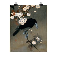 162840947428008022_2048-1.jpeg Crow and Blossom – Ohara Koson (c. 1910) – Japanese Woodblock Poster Print