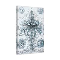 17986118882844120839_2048-1.jpeg Siphonophorae, Kunstformen der Natur, plate 37 – Ernst Haeckel (1904) – Natural History Canvas Print