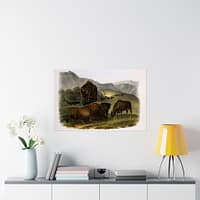 18075409184041245429_2048-1.jpeg Bos Americanus, American Bison or Buffalo, plate 57 – John James Audubon (1845) – Natural History Poster Print