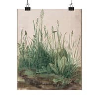 2337605279357620614_2048-1.jpeg The Great Piece of Turf – Albrecht Dürer (1503) – Botanical Poster Print