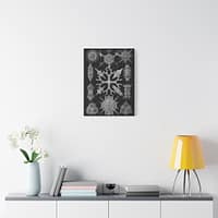 6081298752974381240_2048-1.jpeg Spumellaria, Kunstformen der Natur, plate 91 – Ernst Haeckel (1904) – Natural History Canvas Print