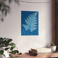 7446132815193166004_2048-1.jpeg New Zealand Cyanotype – Anna Atkins (c. 1853-54) – Botanical Poster Print