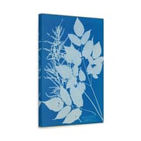 8620589890190791195_2048-1.jpeg Spiraea aruncus (Tyrol) Cyanotype – Anna Atkins (c. 1851-54) – Botanical Canvas Print