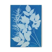 903091022466697940_2048-1.jpeg Spiraea aruncus (Tyrol) Cyanotype – Anna Atkins (c. 1851-54) – Botanical Canvas Print