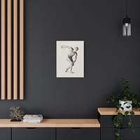 17693216040853257519_2048.jpeg Gipsmodel van Discuswerper - Male Anatomical Study - Jan Veth (c. 1874-1925) - Vintage Art Canvas Print