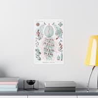10018141435347025963_2048.jpeg Siphonophorae, Kunstformen der Natur, plate 59 – Ernst Haeckel (1904) – Natural History Poster Print