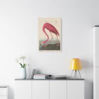 10314157690396579910_2048.jpeg American Flamingo, Birds of America – John James Audubon (1838) – Natural History Canvas Print