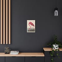 10461602044893696959_2048.jpeg American Flamingo, Birds of America – John James Audubon (1838) – Natural History Canvas Print