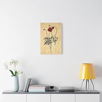 10480718582265385346_2048.jpeg Red Poppy (Papaver, rubrum, erraticum, rhoeas), A Curious Herbal – Elizabeth Blackwell (1737) – Botanical Canvas Print