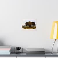 10647548746814975739_2048.jpeg Bos Americanus, American Bison or Buffalo, plate 56 – John James Audubon (1845) – Natural History Poster Print