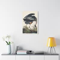 10710673553499606415_2048.jpeg Great Blue Heron, Birds of America – John James Audubon (1834) – Natural History Canvas Print