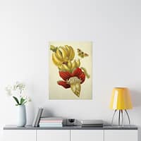 11300875417274521507_2048.jpeg Banana Flower and Fruit, Metamorphosis Insectorum Surinamensium – Maria Sibylla Merian (1705) – Botanical Poster Print