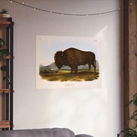 11558578979615382133_2048.jpeg Bos Americanus, American Bison or Buffalo, plate 56 – John James Audubon (1845) – Natural History Poster Print