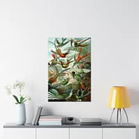 11800929314810616161_2048.jpeg Hummingbirds (Trochilidae), Kunstformen der Natur – Ernst Haeckel (1904) – Natural History Poster Print
