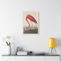 12031354859585655155_2048.jpeg American Flamingo, Birds of America – John James Audubon (1838) – Natural History Canvas Print