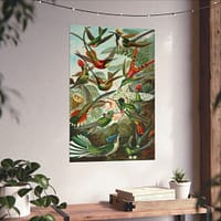 12082922193660443320_2048.jpeg Hummingbirds (Trochilidae), Kunstformen der Natur – Ernst Haeckel (1904) – Natural History Poster Print