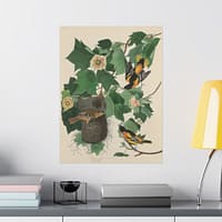 12118947071197225336_2048.jpeg Baltimore Oriole, Birds of America – John James Audubon (1827) – Natural History Poster Print