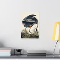 12124631581216081726_2048-1.jpeg Great Blue Heron, Birds of America – John James Audubon (1834) – Natural History Poster Print