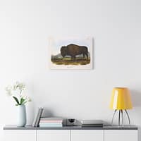 12620092839578117765_2048.jpeg Bos Americanus, American Bison or Buffalo, plate 56 – John James Audubon (1845) – Natural History Canvas Print