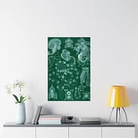 12622322079407466638_2048.jpeg Siphonophorae, Kunstformen der Natur, plate 77 – Ernst Haeckel (1904) – Natural History Poster Print