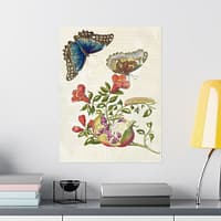 12625586248092503939_2048.jpeg Metamorphosis Insectorum Surinamensium, plate 9 – Maria Sibylla Merian (1705) – Natural History Poster Print