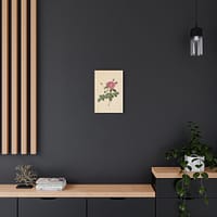 13166304097025902819_2048.jpeg Cabbage Rose (Rosa Centifolia Simplex) – Pierre-Joseph Redouté (c. 1817-24) – Botanical Canvas Print