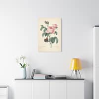 13443216640371820707_2048.jpeg Rosa Centifolia (Rosier à cent feuilles) – Pierre-Joseph Redouté (c. 1817-24) – Botanical Canvas Print