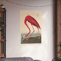 13760799261525158697_2048.jpeg American Flamingo, Birds of America – John James Audubon (1838) – Natural History Poster Print
