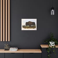 14001715310801035290_2048.jpeg Bos Americanus, American Bison or Buffalo, plate 56 – John James Audubon (1845) – Natural History Canvas Print
