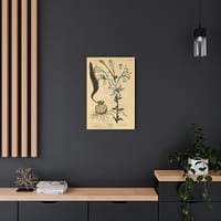 14057174371219584712_2048.jpeg White Lily (Lilium album), A Curious Herbal – Elizabeth Blackwell (1737) – Botanical Canvas Print