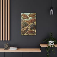 14085306230683659459_2048.jpeg Sea Turtles & Tortoises (Chelonia), Kunstformen der Natur – Ernst Haeckel (1904) – Natural History Canvas Print