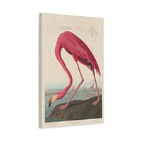 14158669269488379837_2048.jpeg American Flamingo, Birds of America – John James Audubon (1838) – Natural History Canvas Print