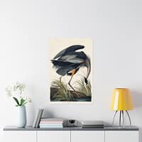 14235718620962386667_2048-1.jpeg Great Blue Heron, Birds of America – John James Audubon (1834) – Natural History Poster Print