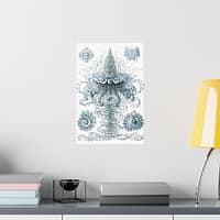 142427758338385606_2048.jpeg Siphonophorae, Kunstformen der Natur, plate 37 – Ernst Haeckel (1904) – Natural History Poster Print